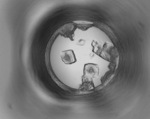 X0000111510765200908041222