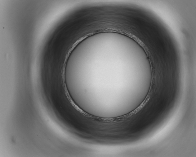 X0000111510766200908041222