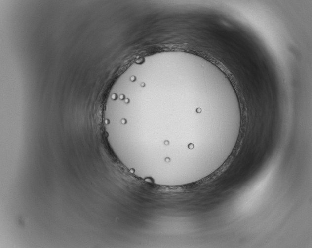 X0000111510767200908041222