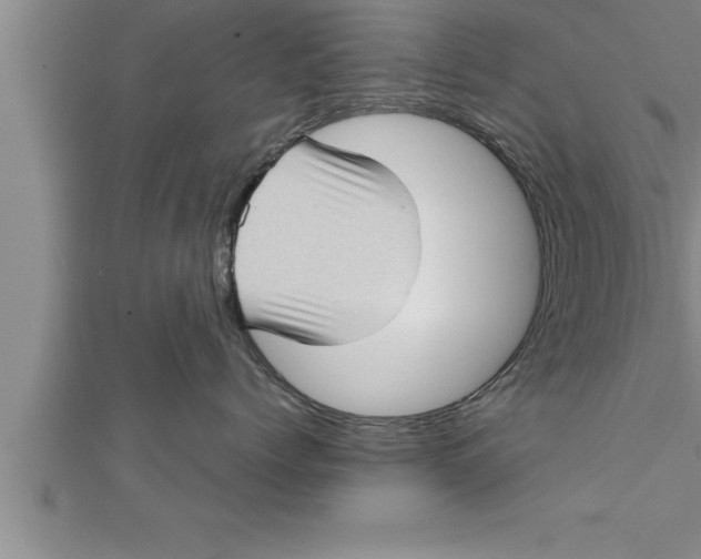 X0000111510768200908041222