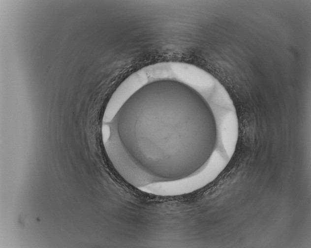 X0000111510769200908041222