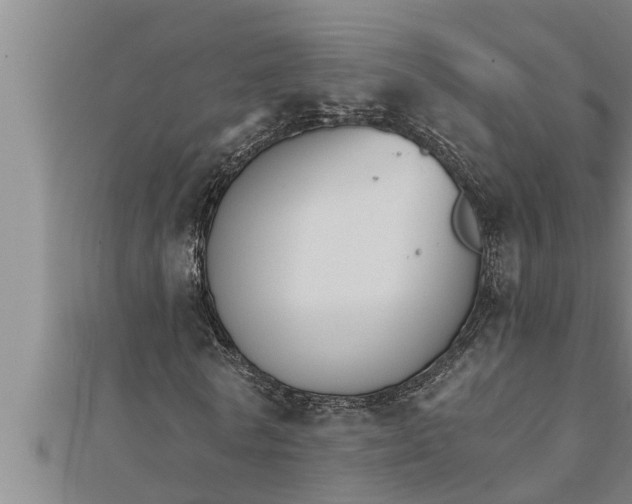 X0000111510770200908041222