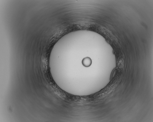 X0000111510772200908041222