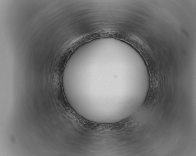 X0000111510773200908041222