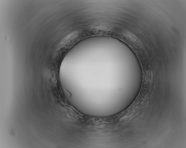 X0000111510774200908041222