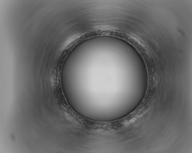 X0000111510775200908041222