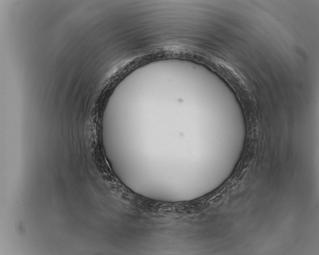 X0000111510776200908041222