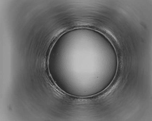 X0000111510777200908041222