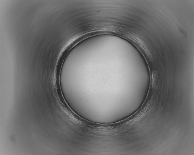 X0000111510780200908041222