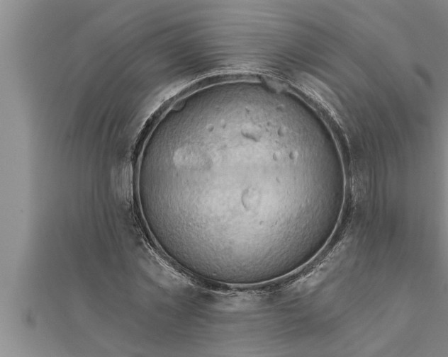 X0000111510781200908041222