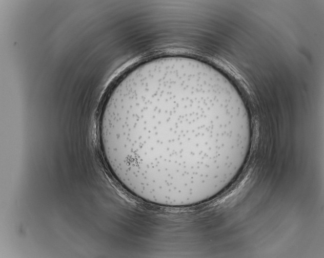 X0000111510782200908041222