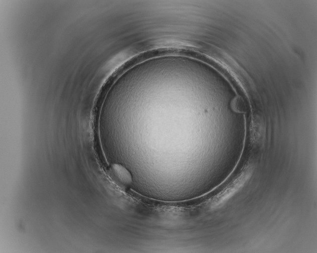 X0000111510783200908041222