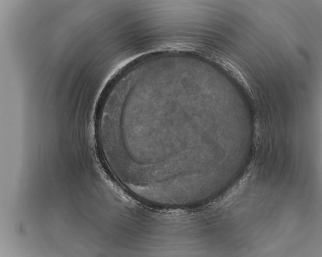 X0000111510784200908041222