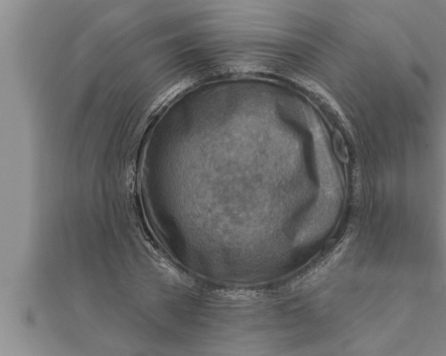 X0000111510785200908041222