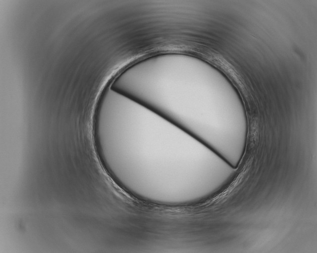 X0000111510787200908041222