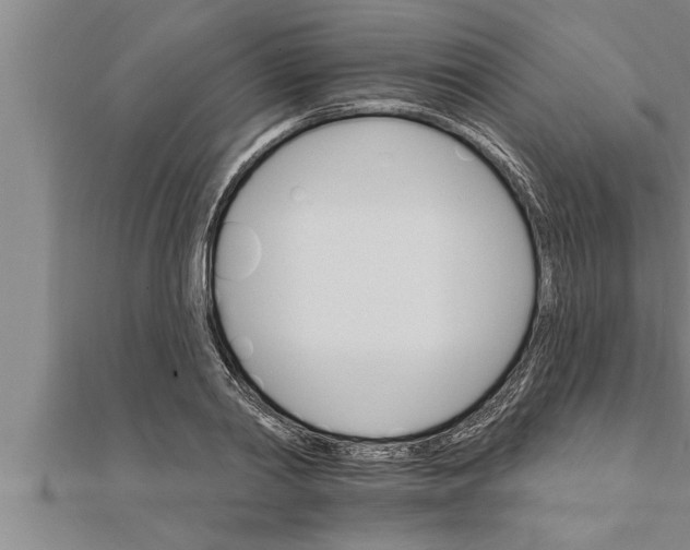 X0000111510790200908041221