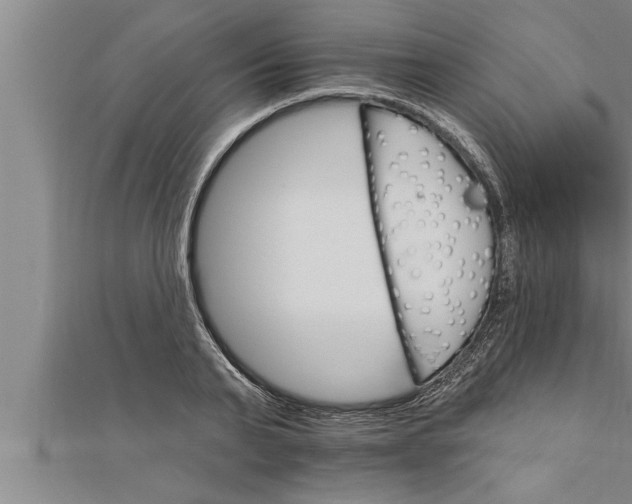 X0000111510791200908041221