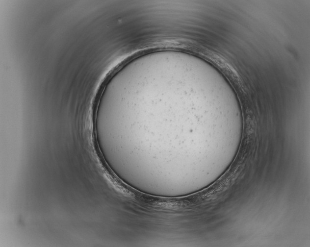 X0000111510792200908041221