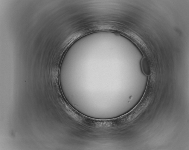 X0000111510793200908041221