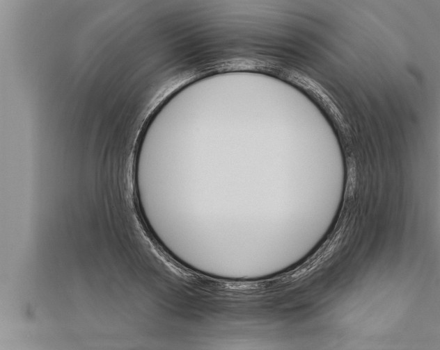 X0000111510794200908041221