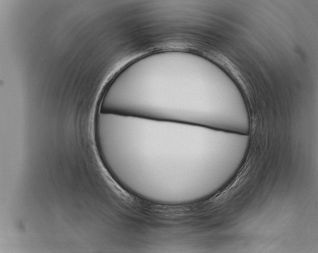 X0000111510795200908041221