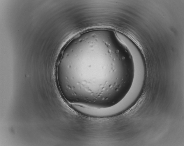 X0000111510797200908041221