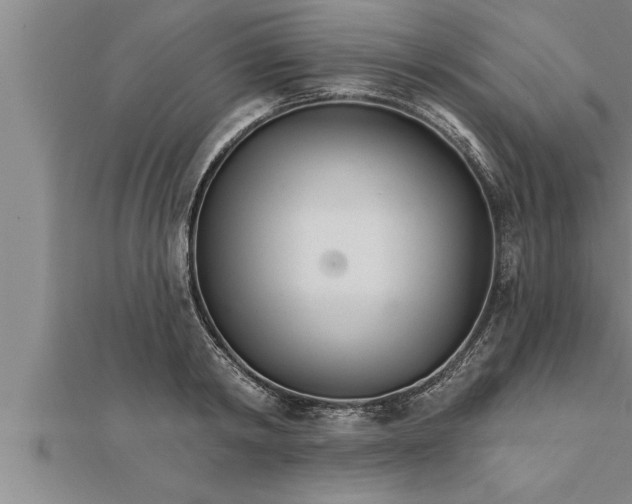 X0000111510798200908041221