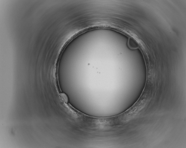 X0000111510799200908041221