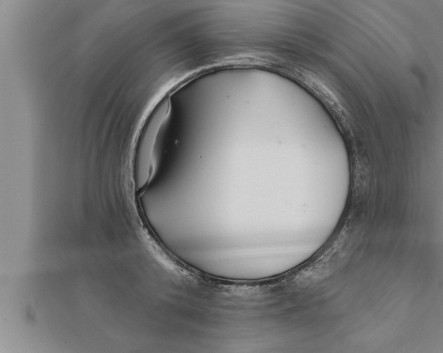 X0000111510800200908041221