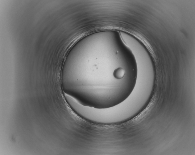 X0000111510801200908041221