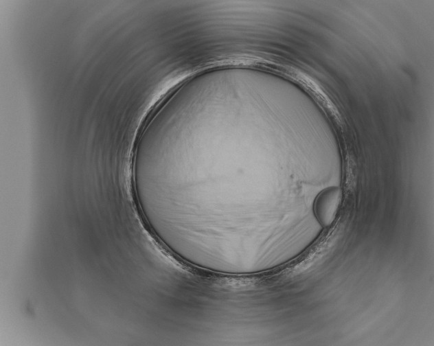 X0000111510802200908041221