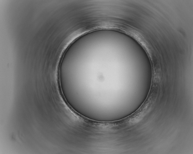 X0000111510803200908041221