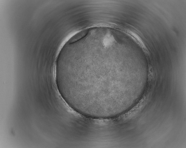 X0000111510804200908041221