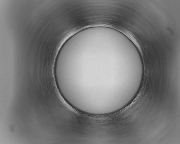 X0000111510805200908041221