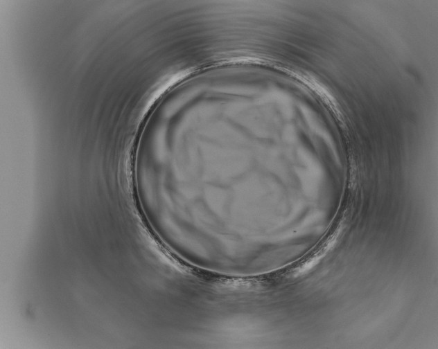 X0000111510806200908041221