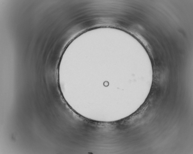 X0000111510807200908041221