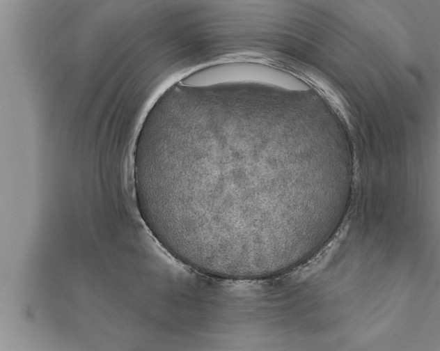 X0000111510808200908041221