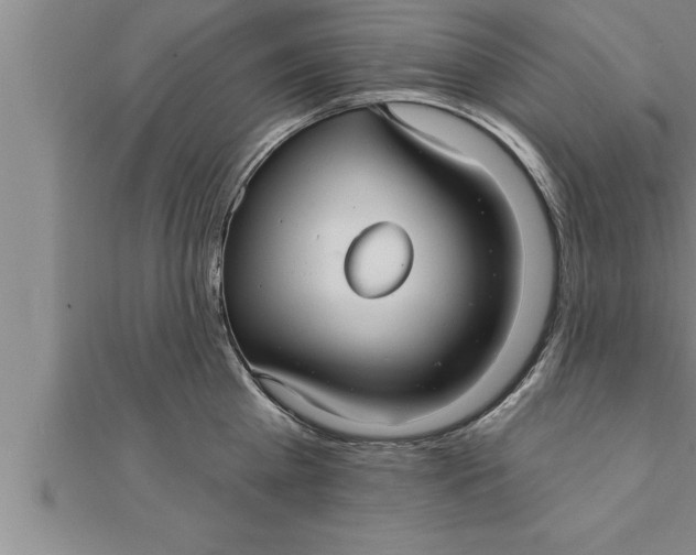 X0000111510809200908041221