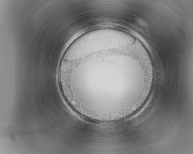 X0000111510810200908041221