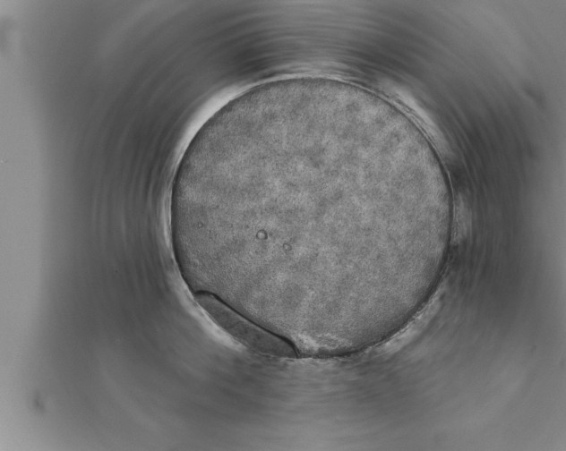 X0000111510812200908041221