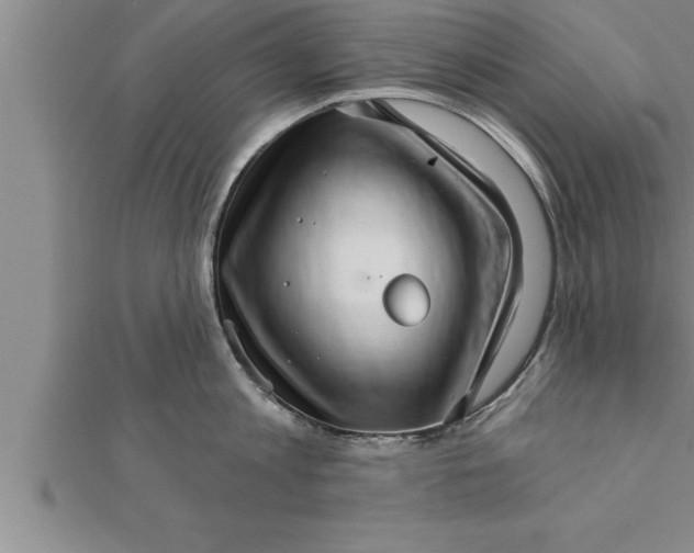 X0000111510813200908041221