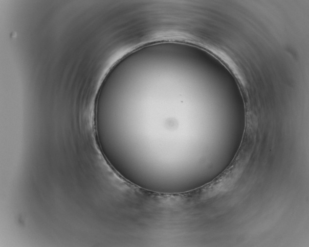 X0000111510815200908041221