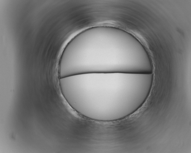 X0000111510816200908041221