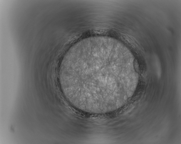 X0000111510817200908041221