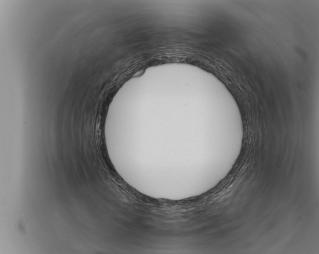 X0000111510818200908041221