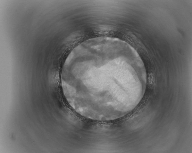 X0000111510820200908041221