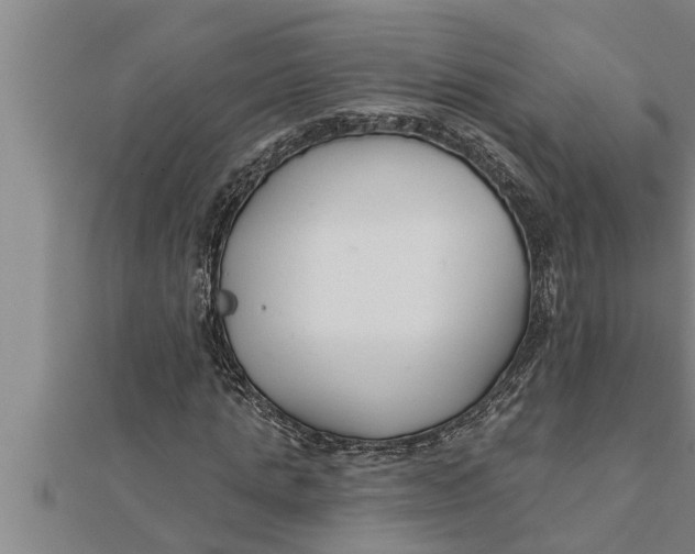 X0000111510821200908041221