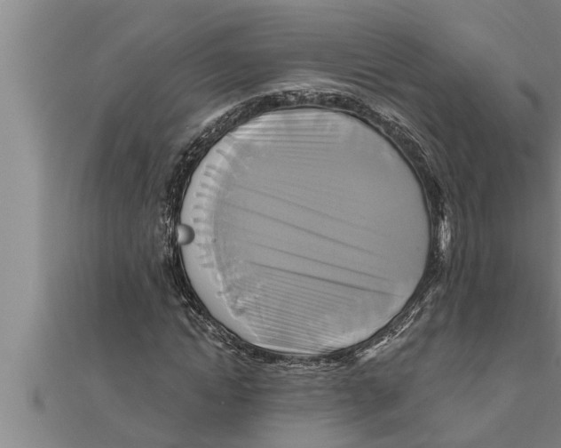 X0000111510822200908041221