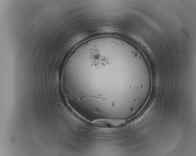 X0000111510825200908041221