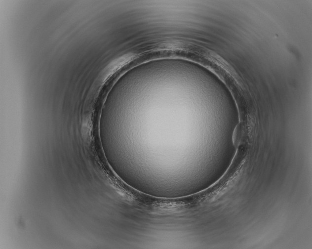 X0000111510826200908041221